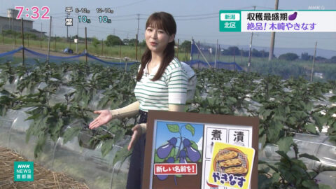 山下佳織_NHKニュース おはよう日本(関東甲信越)_20250621_015
