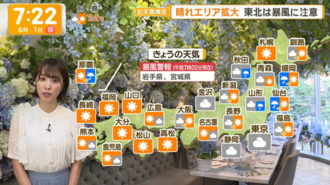 今井春花_グッド!モーニング_20250601_031