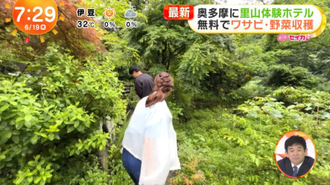 井上清華_めざましテレビ_20250619_034