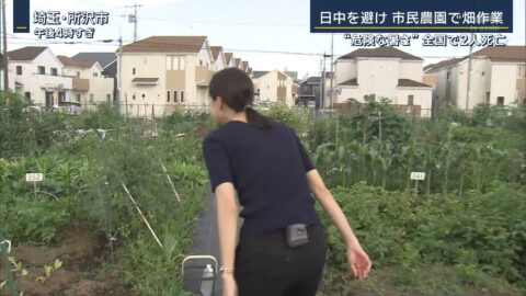 下村彩里_報道ステーション_20250618_018