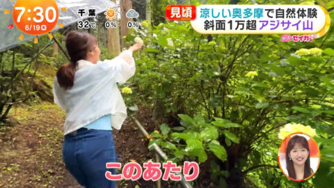 井上清華_めざましテレビ_20250619_046