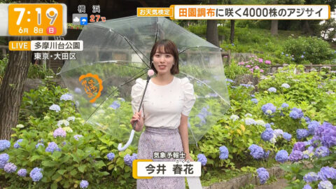 今井春花_グッド!モーニング_20250608_021