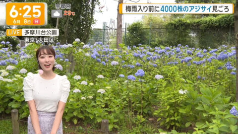 今井春花_グッド!モーニング_20250608_015