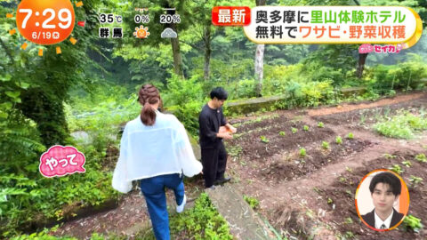 井上清華_めざましテレビ_20250619_031