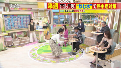 友廣南実_ゴゴスマ～GOGO!Smile!～_20250529_039