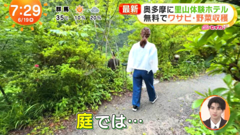 井上清華_めざましテレビ_20250619_027