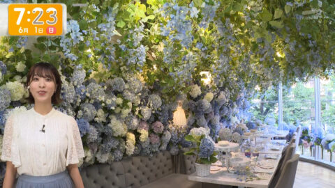 今井春花_グッド!モーニング_20250601_036