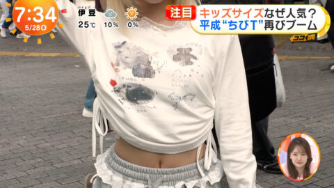 一般_めざましテレビ_20250528_052