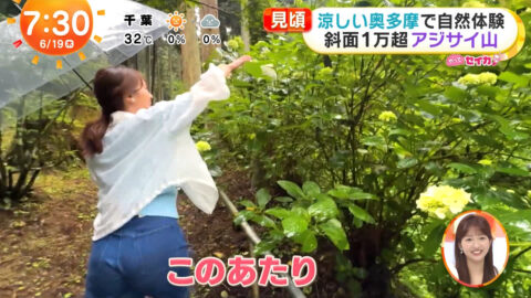 井上清華_めざましテレビ_20250619_045