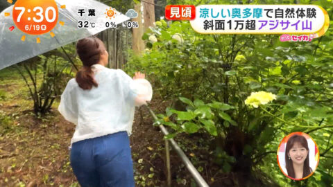 井上清華_めざましテレビ_20250619_043