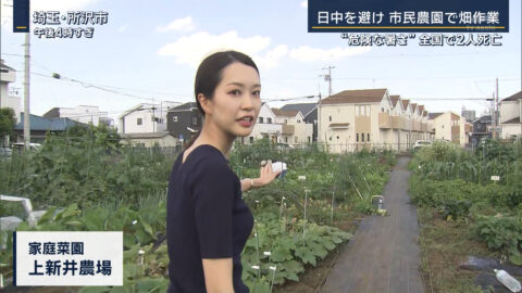 下村彩里_報道ステーション_20250618_012