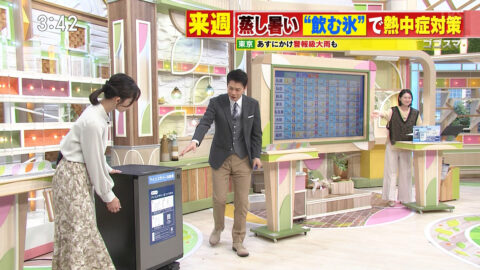 友廣南実_ゴゴスマ～GOGO!Smile!～_20250529_026
