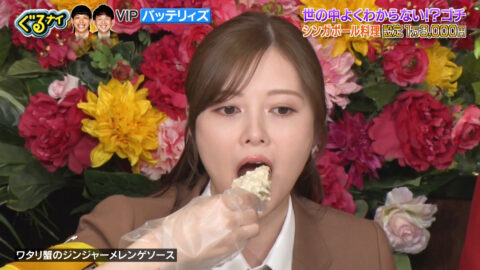 白石麻衣_ぐるぐるナインティナイン_20250529_006