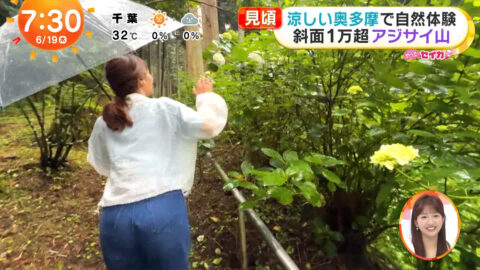 井上清華_めざましテレビ_20250619_044