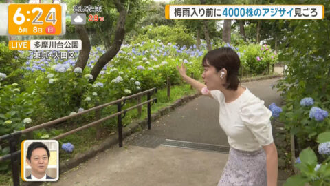 今井春花_グッド!モーニング_20250608_014