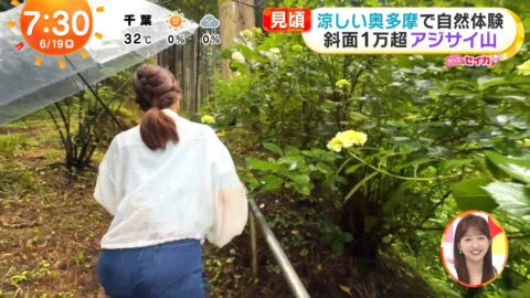 井上清華_めざましテレビ_20250619_040