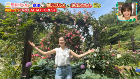 メーガン花子_王様のブランチ_20250531_021