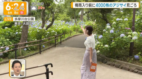 今井春花_グッド!モーニング_20250608_012