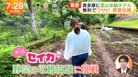 井上清華_めざましテレビ_20250619_032