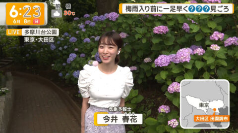 今井春花_グッド!モーニング_20250608_001