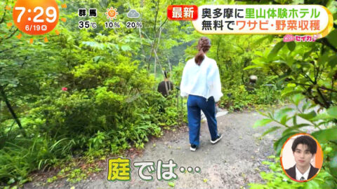 井上清華_めざましテレビ_20250619_026