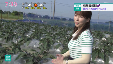 山下佳織_NHKニュース おはよう日本(関東甲信越)_20250621_007