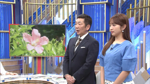 藤本万梨乃_Mrサンデー_20250608_004