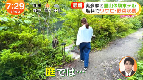 井上清華_めざましテレビ_20250619_030