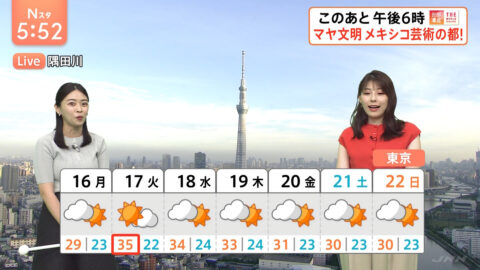 高安奈緒子_Nスタ_20250615_030