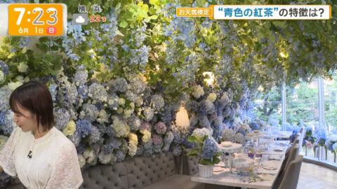 今井春花_グッド!モーニング_20250601_037