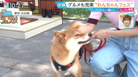 御手洗菜々_ひるおび_20250606_009