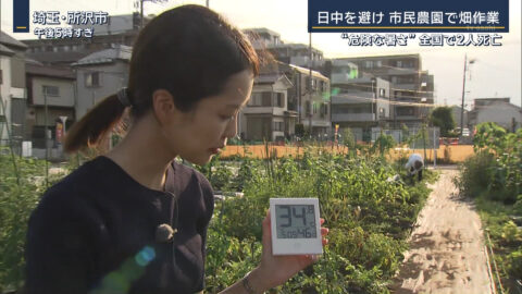 下村彩里_報道ステーション_20250618_024