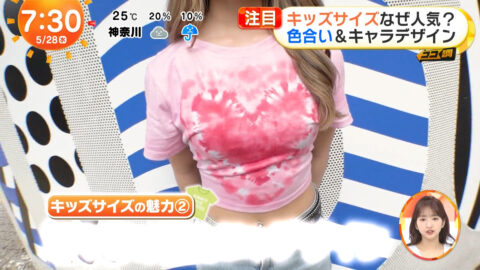 一般_めざましテレビ_20250528_020