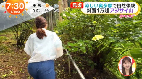 井上清華_めざましテレビ_20250619_041