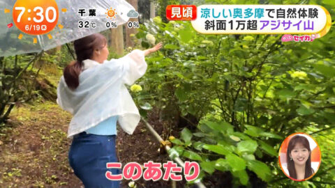 井上清華_めざましテレビ_20250619_049