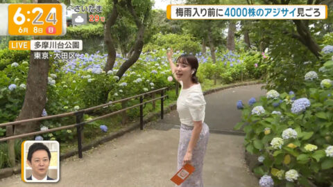 今井春花_グッド!モーニング_20250608_013