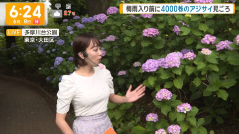 今井春花_グッド!モーニング_20250608_005