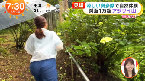 井上清華_めざましテレビ_20250619_042