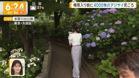 今井春花_グッド!モーニング_20250608_008