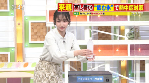 友廣南実_ゴゴスマ～GOGO!Smile!～_20250529_029