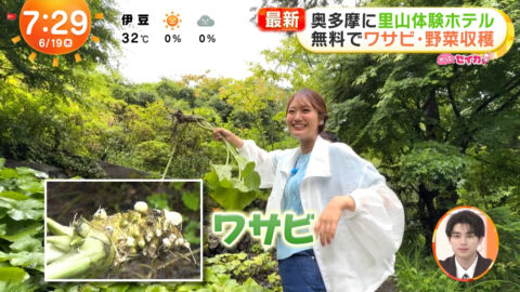 井上清華_めざましテレビ_20250619_038