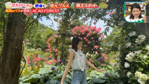メーガン花子_王様のブランチ_20250531_020