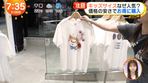 一般_めざましテレビ_20250528_054