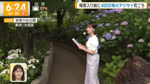 今井春花_グッド!モーニング_20250608_007
