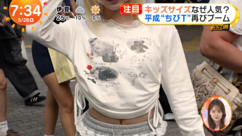 一般_めざましテレビ_20250528_051