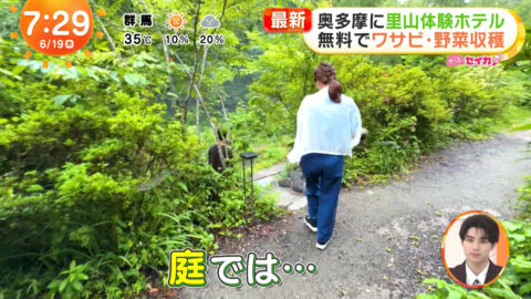 井上清華_めざましテレビ_20250619_028