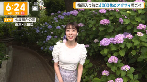 今井春花_グッド!モーニング_20250608_004
