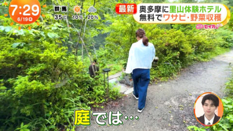 井上清華_めざましテレビ_20250619_029