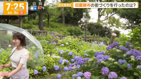 今井春花_グッド!モーニング_20250608_036