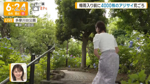 今井春花_グッド!モーニング_20250608_010